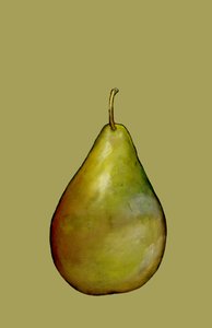 Pear, 2007